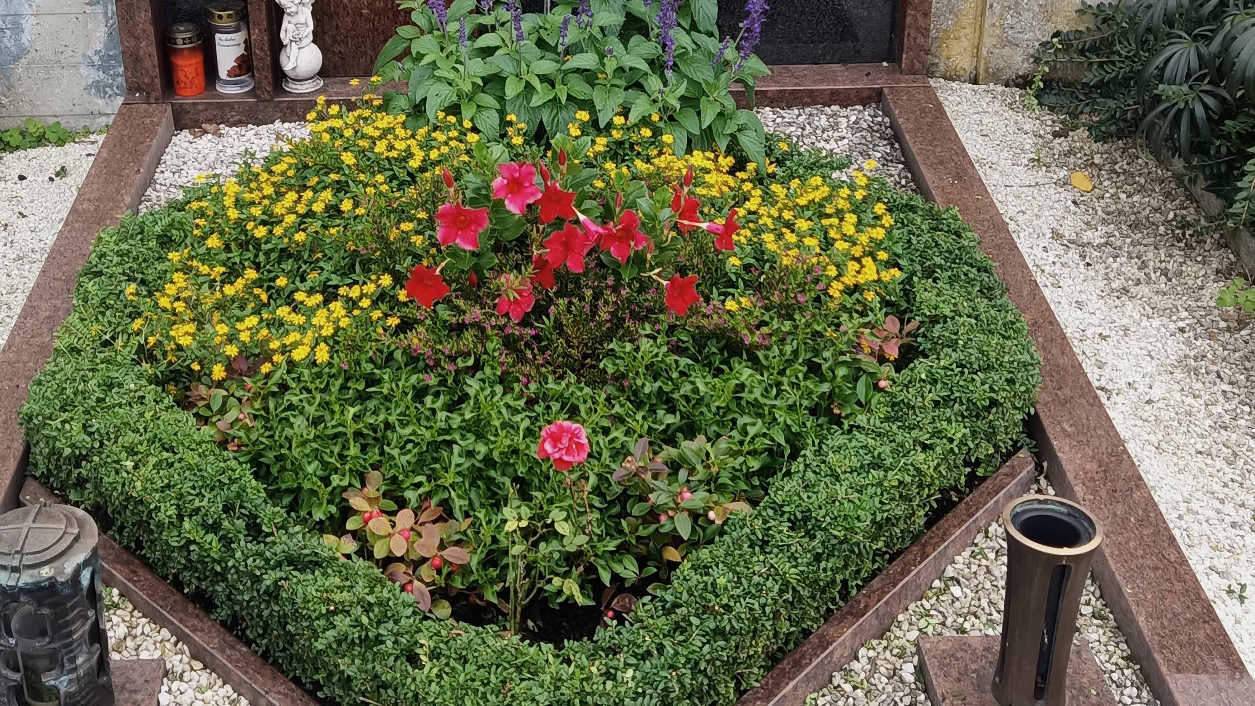 Sommerlich bepflanztes Grab mit rot-gelber Bepflanzung und Buchsbaum-Einfassung